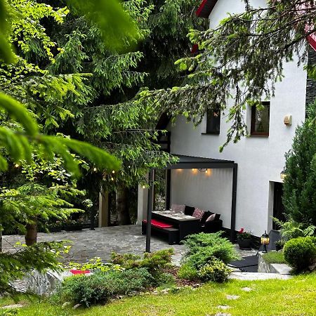 Mountain Chalet - Cabana La Muntele Baisorii Muntele Cacovei  Eksteriør billede