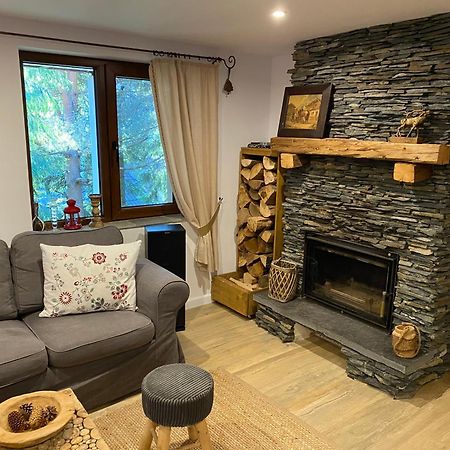 Mountain Chalet - Cabana La Muntele Baisorii Muntele Cacovei  Eksteriør billede