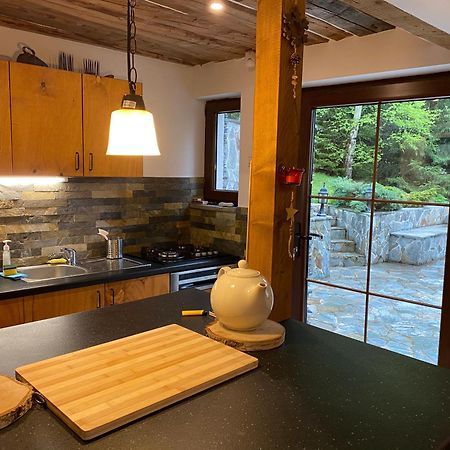 Mountain Chalet - Cabana La Muntele Baisorii Muntele Cacovei  Eksteriør billede