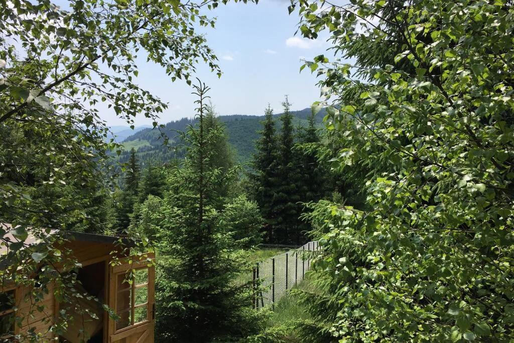 Mountain Chalet - Cabana La Muntele Baisorii Muntele Cacovei  Eksteriør billede