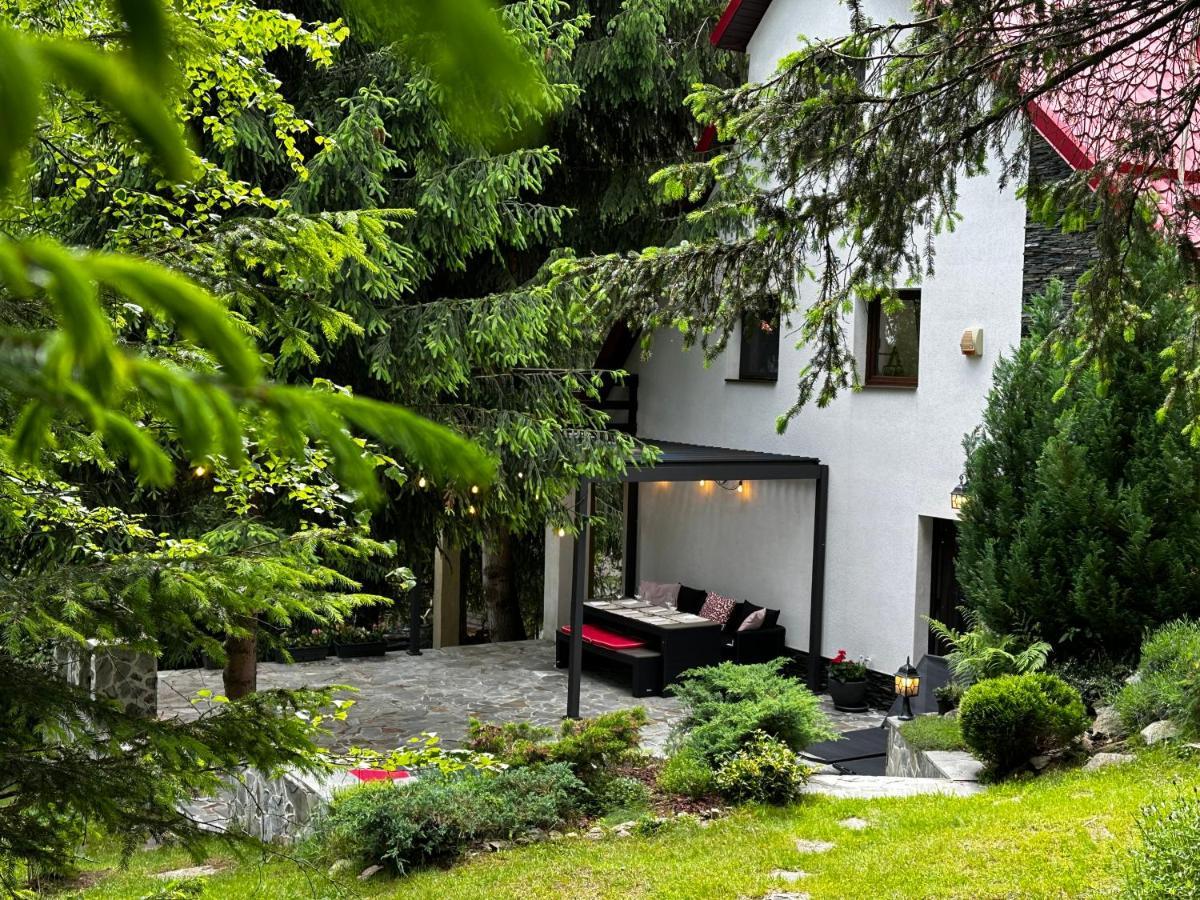 Mountain Chalet - Cabana La Muntele Baisorii Muntele Cacovei  Eksteriør billede