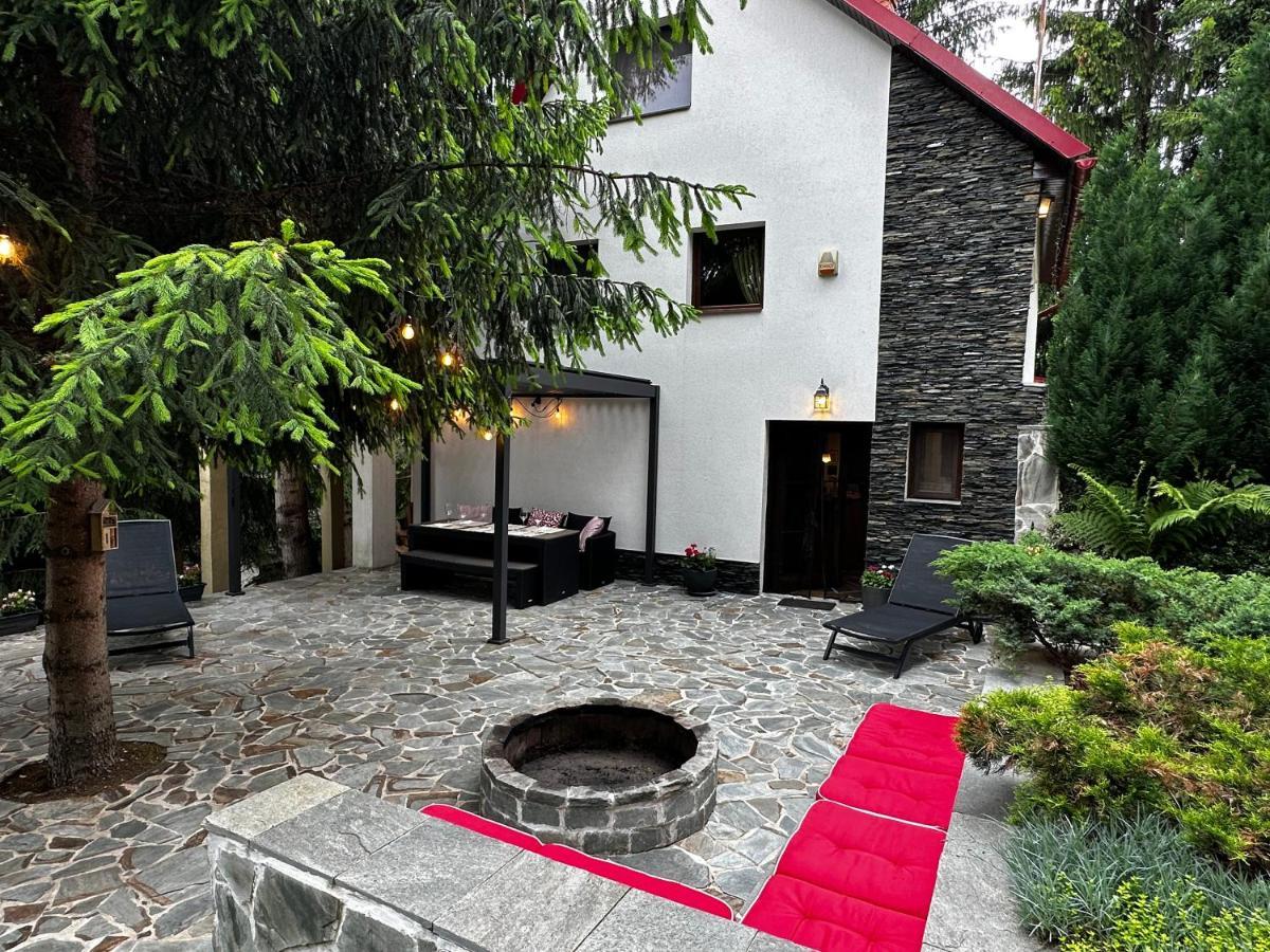 Mountain Chalet - Cabana La Muntele Baisorii Muntele Cacovei  Eksteriør billede