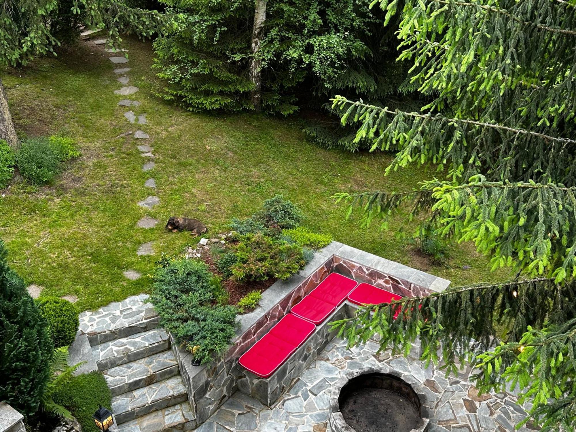 Mountain Chalet - Cabana La Muntele Baisorii Muntele Cacovei  Eksteriør billede